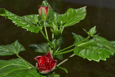 Similar image 21986026