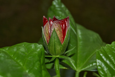 Similar image 21986027