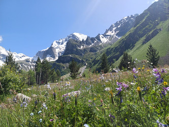 Similar image 21989327