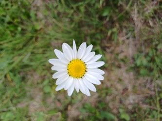 Similar image 21989328