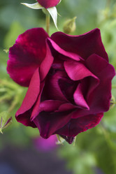 Similar image 21986186