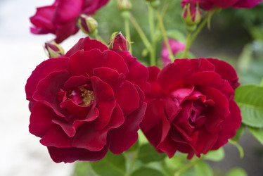 Similar image 21986189