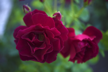 Similar image 21986191