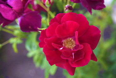 Similar image 21986192