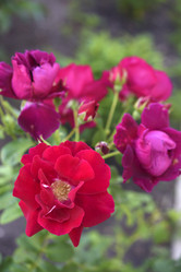 Similar image 21986193