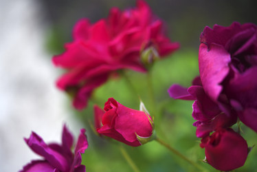 Similar image 21986194