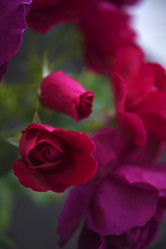 Similar image 21986195