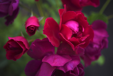 Similar image 21986196