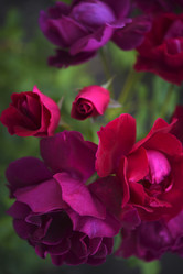 Similar image 21986197