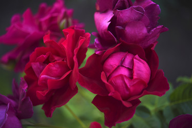 Similar image 21986198