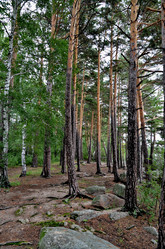 Similar image 21986223