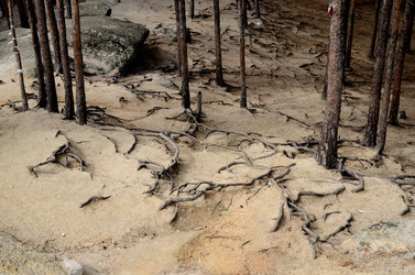 Similar image 21986230