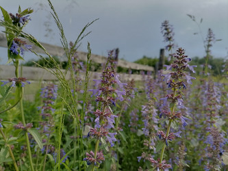 Similar image 21987801