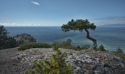 Similar image 21986231