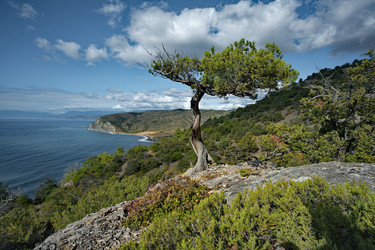 Similar image 21986233