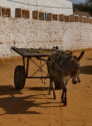 Similar image 21986236