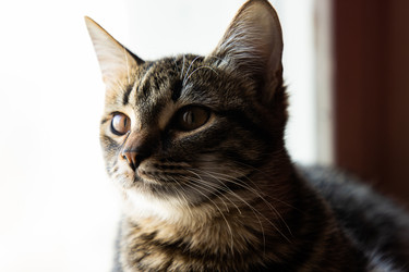 Similar image 21986252