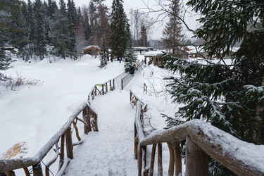 Similar image 21988553