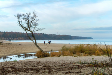 Similar image 21988366