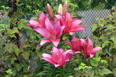 Similar image 21986030