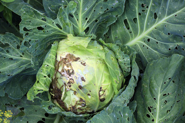 Similar image 21986034