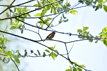 Similar image 21987888