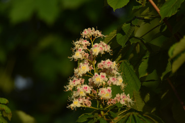 Similar image 21989332