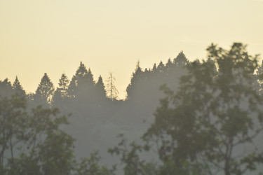 Similar image 21987890