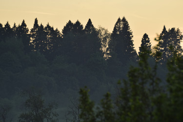 Similar image 21989333