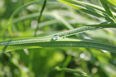 Similar image 21987894