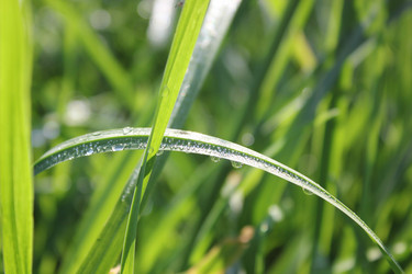 Similar image 21987895