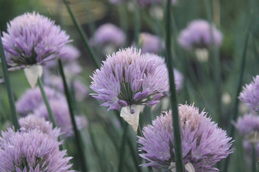 Similar image 21987896