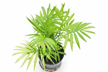 Similar image 21987898