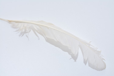 Similar image 21987899