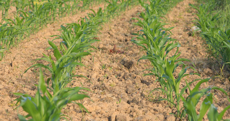 Similar image 21987819