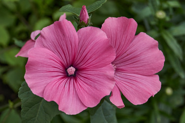 Similar image 21988011