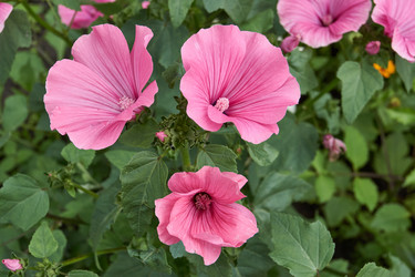 Similar image 21988013