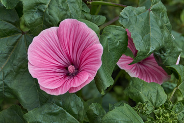 Similar image 21988014