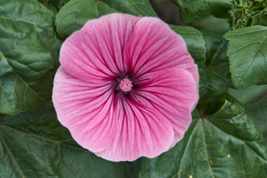 Similar image 21988015