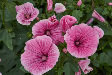 Similar image 21988016