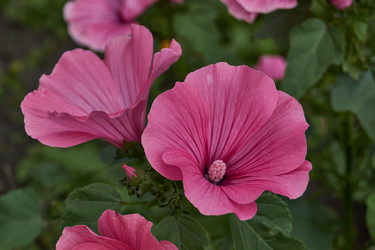 Similar image 21988017