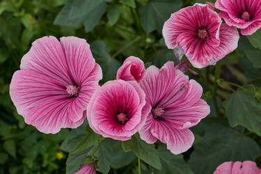 Similar image 21988018