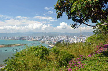 Similar image 21988027