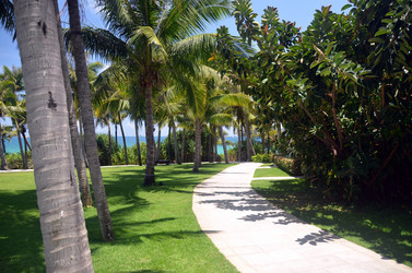 Similar image 21988035