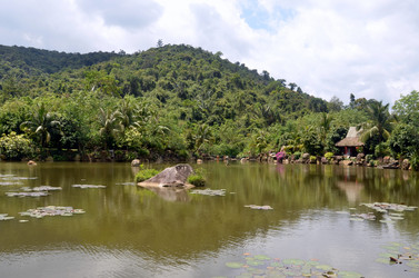 Similar image 21988048