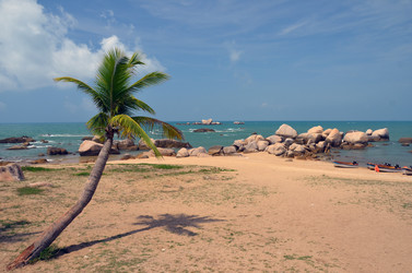 Similar image 21988053