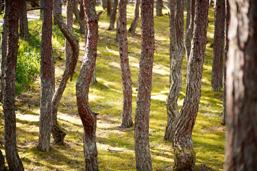 Similar image 21987822