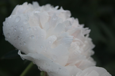 Similar image 21987921