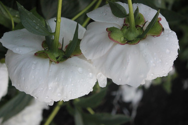 Similar image 21987922