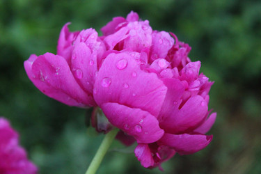 Similar image 21987924